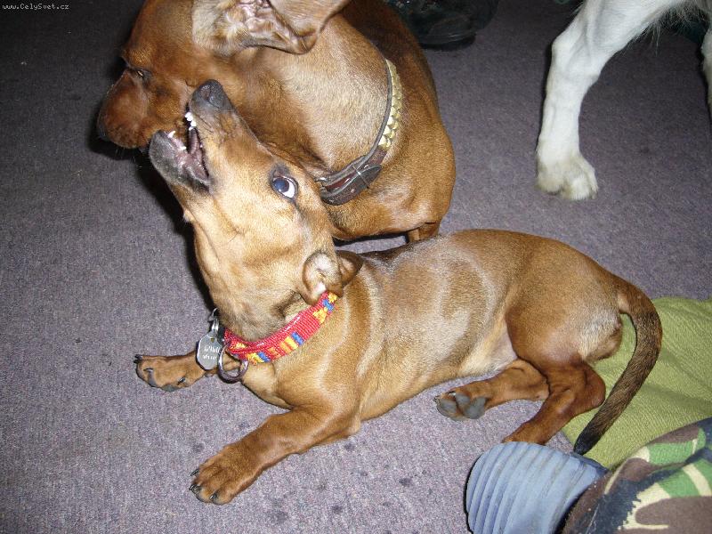 Foto: T�bor 06 Such� Rudn�-kdy� si �t�n� hraje s velkou d�mou