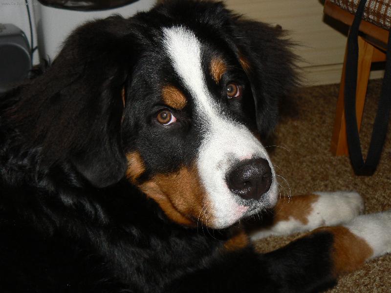 Foto: To m�m, ale kuku� :)