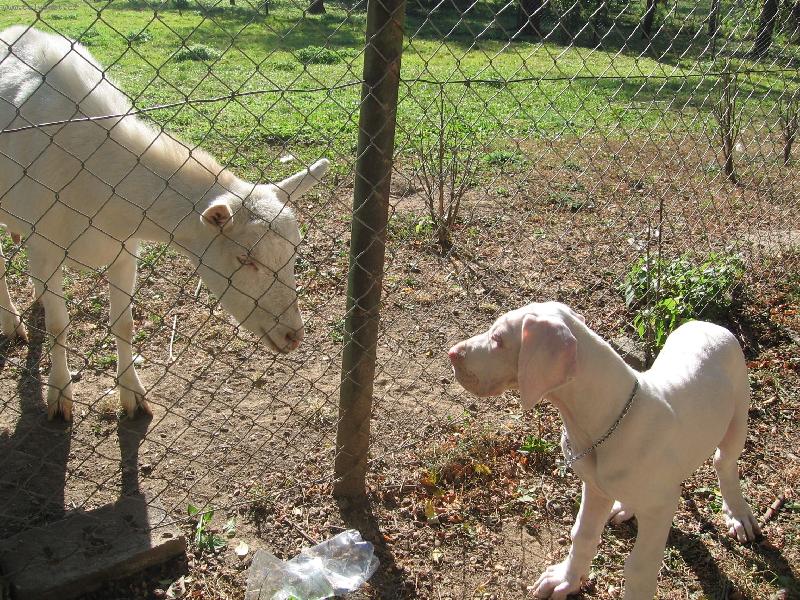 Foto: zrcadlo,zrcadlo.....