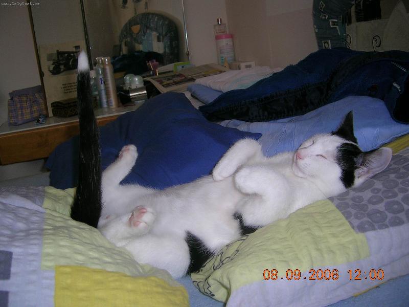 Foto: poledn� odpo�inek