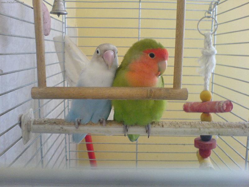 Foto: M�me se r�di.