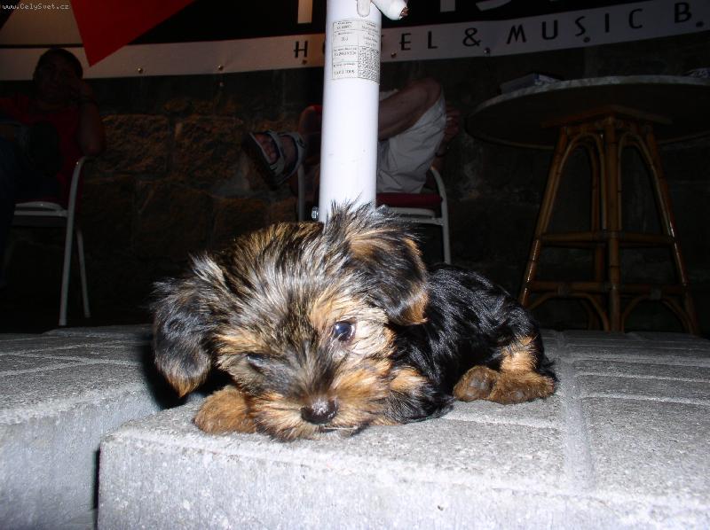 Foto: mal� ale �ikovn�