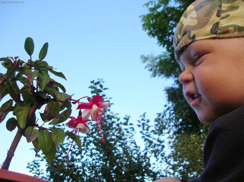 Foto: Von� ..... nevon�?