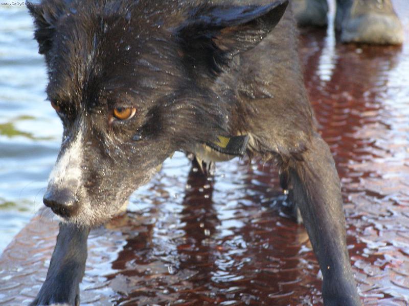 Foto: Po koupeli-m�j o��ek po koupeli