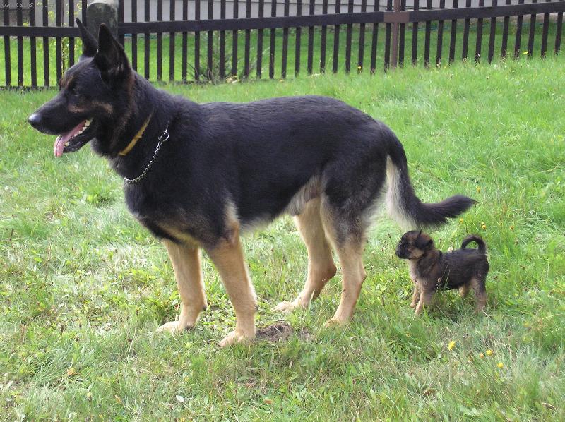 Foto: dafy-Fuj!!!C�t�m n�jak� smradlav� z�pach!!??