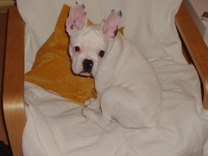 Foto: Jsem nevinn� :-)-Mike