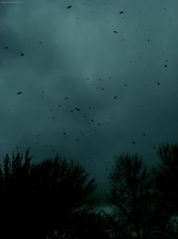 Foto: Temno a vr�ny...