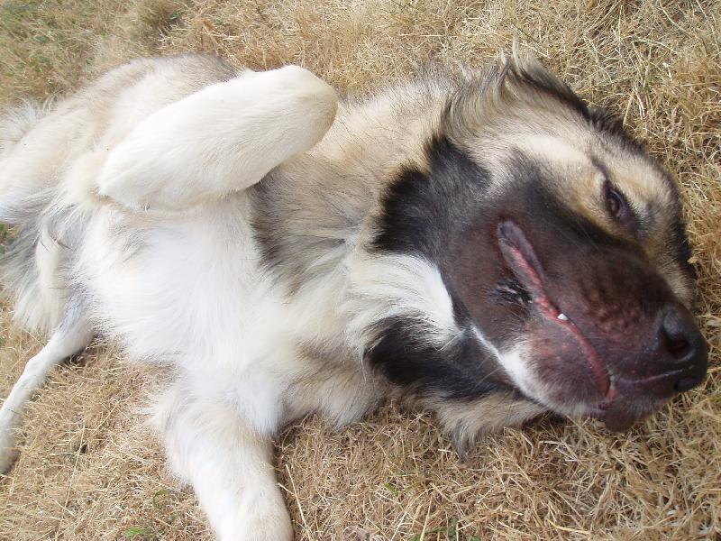 Foto: To je veget.... :)-N� Bub�k