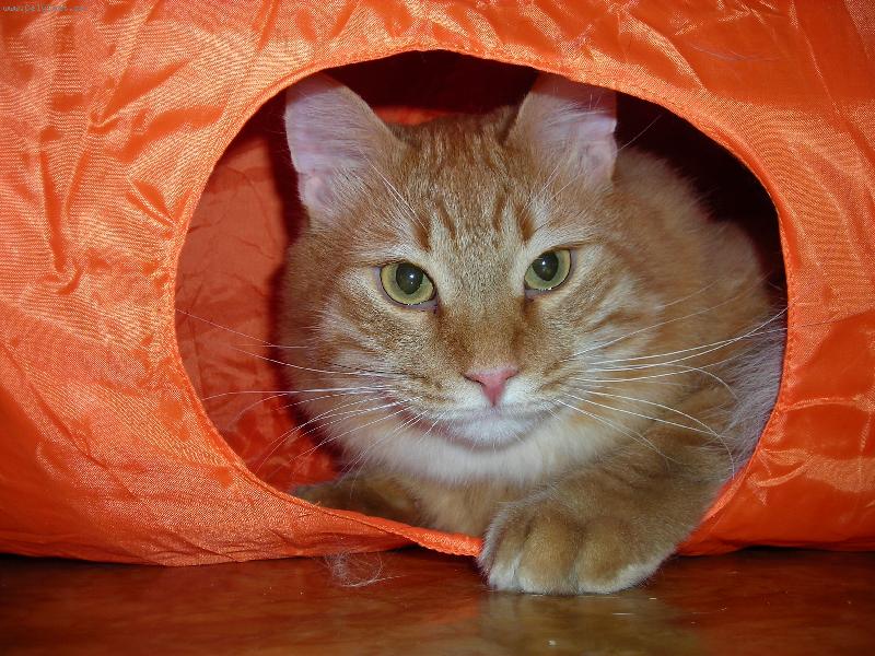 Foto: To je moje kr�lovstv�...