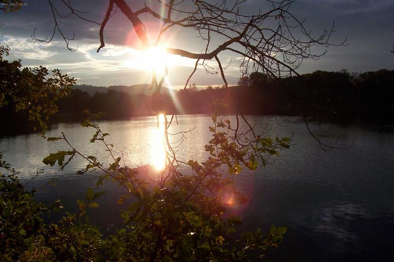 Foto: Slunce v korun�ch