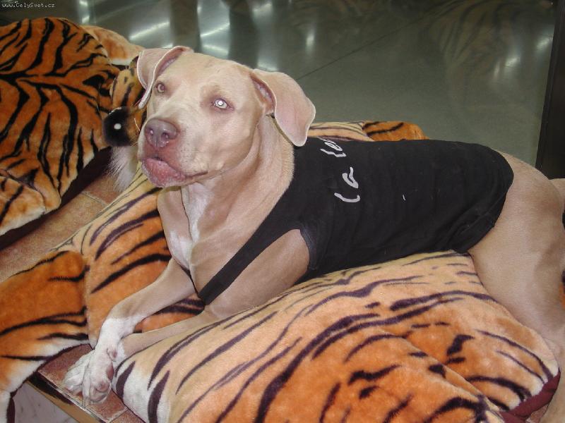 Foto: to koukate,co?