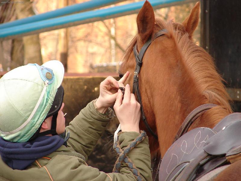 Foto: tak u� mi to za��n�...