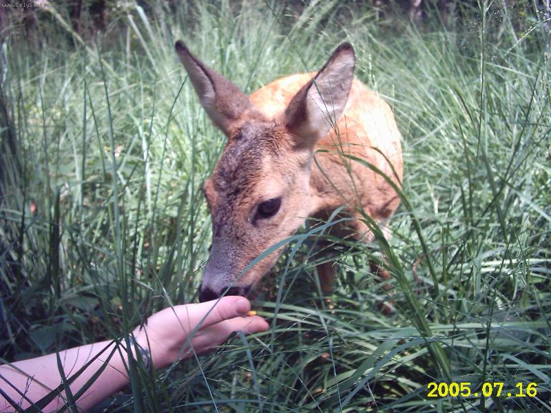 Foto: Setkani v prirode