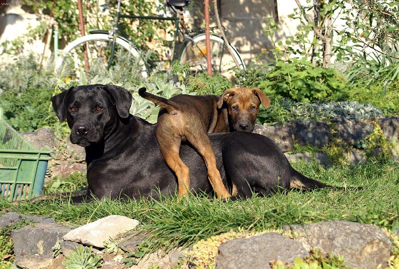 Foto: Bruno s m�mou