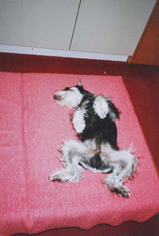 Foto: odpo�inek-odpo�inek