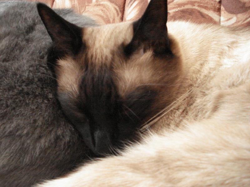 Foto: m�j mike���ek