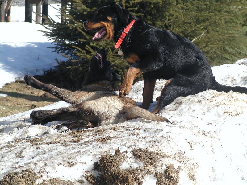 Foto: Dej ze m� tu nohu-�k�dlen�