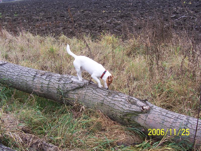 Foto: Fattynka-Fattynka hled� my�i�ku