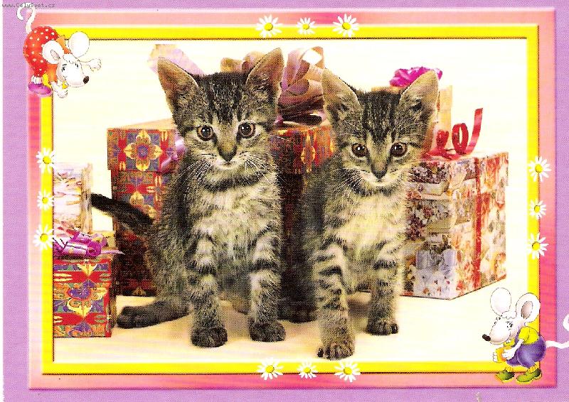 Foto: je�t� jestli  je tu pro n�s n�jak� d�re�ek