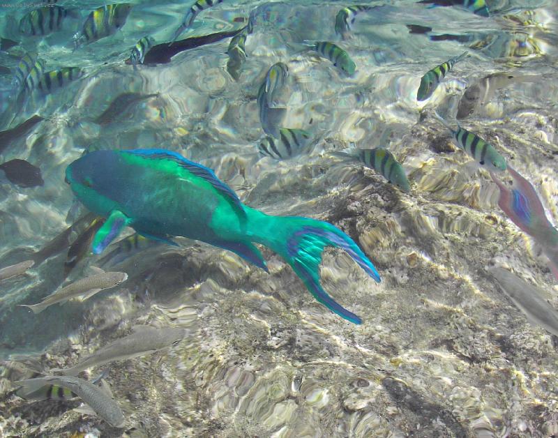 Foto: v Rud�m mo�i