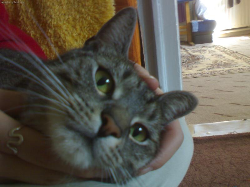 Foto: r�d se mazl�m..