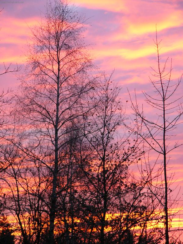 Foto: b��zy v plamenech