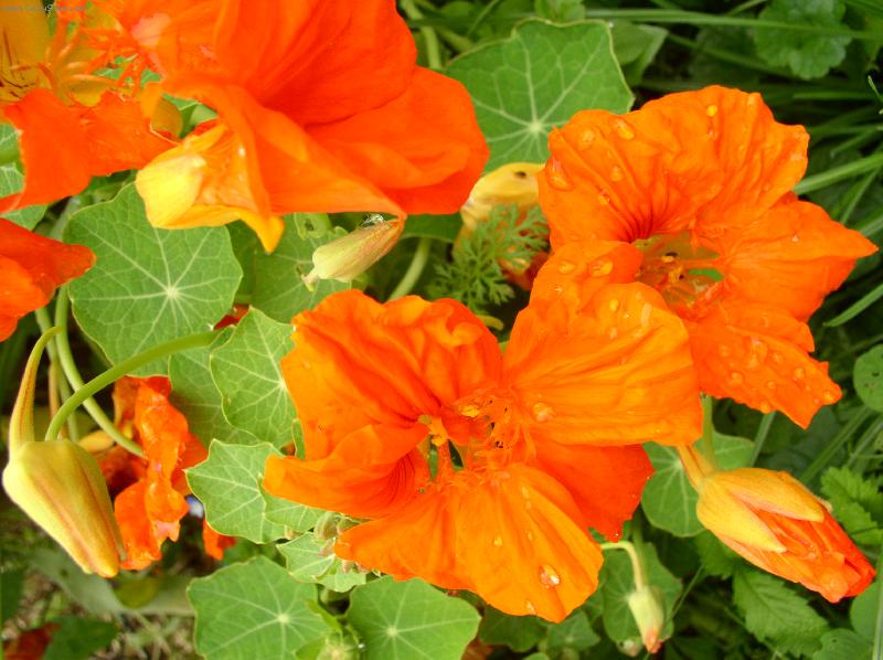 Foto: licho�e�i�nice