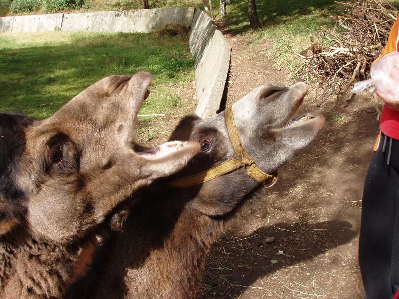 Foto: M� n�co dobr�ho??