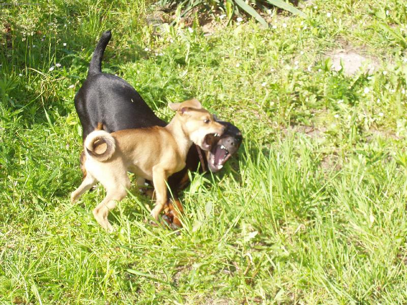 Foto: Argo a Pin�a-he�,j� ji otev�u v�c!!!