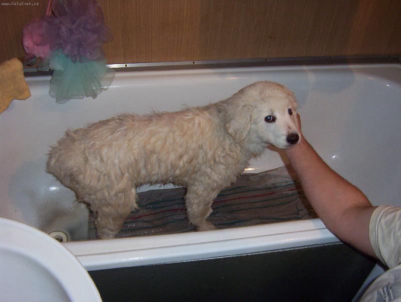 Foto: u� je v�m l�p?