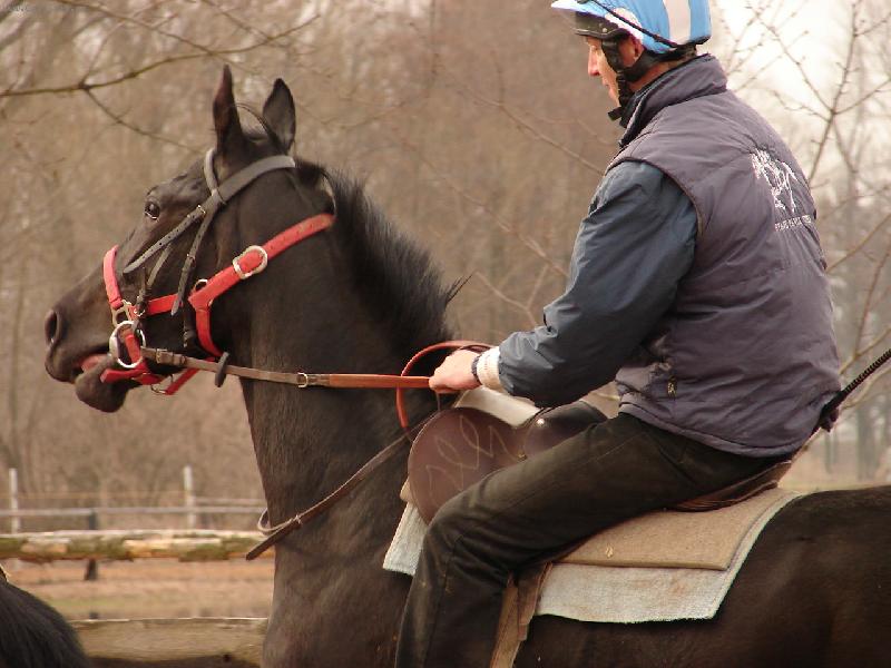 Foto: Prima j�zda-D�kuju za v�echno...