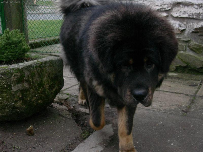 Foto: J� ti ten fo��k snim!