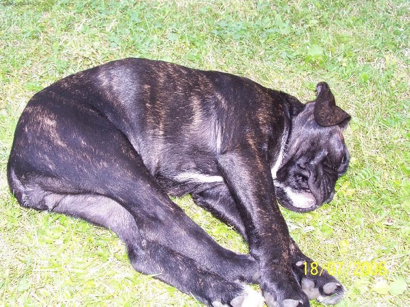 Foto: nella-r�da spink�m