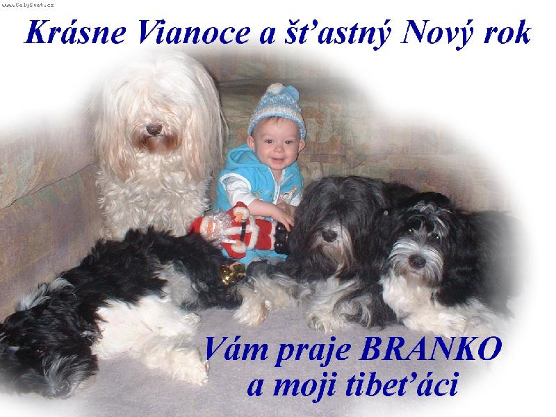 Foto: pozdrav pre v�etk�ch-v�etk�m prajeme kr�sne Vianoce a ��astn� Nov� rok