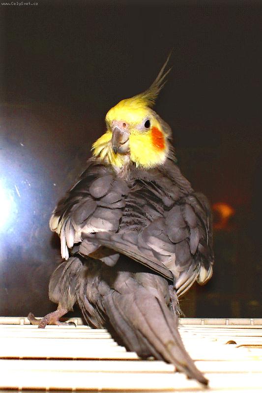 Foto: "Tak u� fo�!"