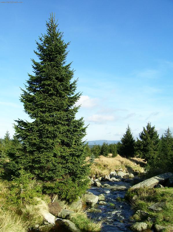 Foto: Jizersk� hory