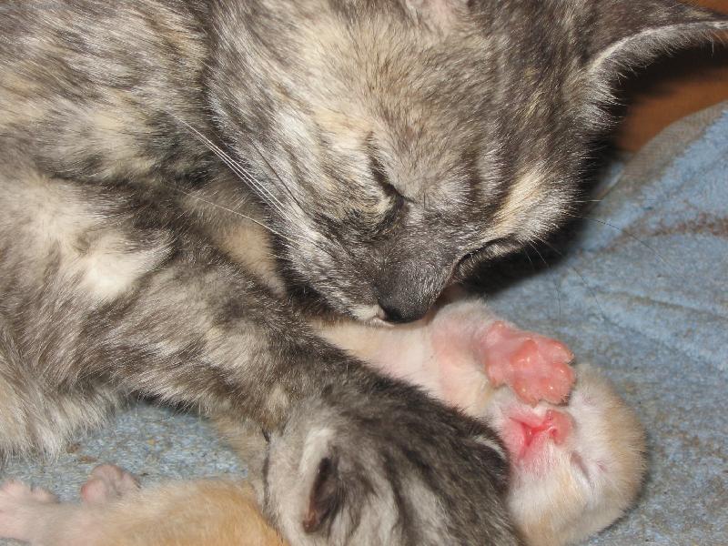 Foto: Kami a jej� kot�tko-Tak, a ted si t� p�kn� ol�u