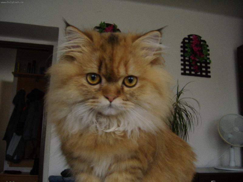 Foto: Nanynka-Na�e princezna