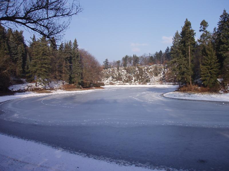 Foto: Průhonický park v zimě