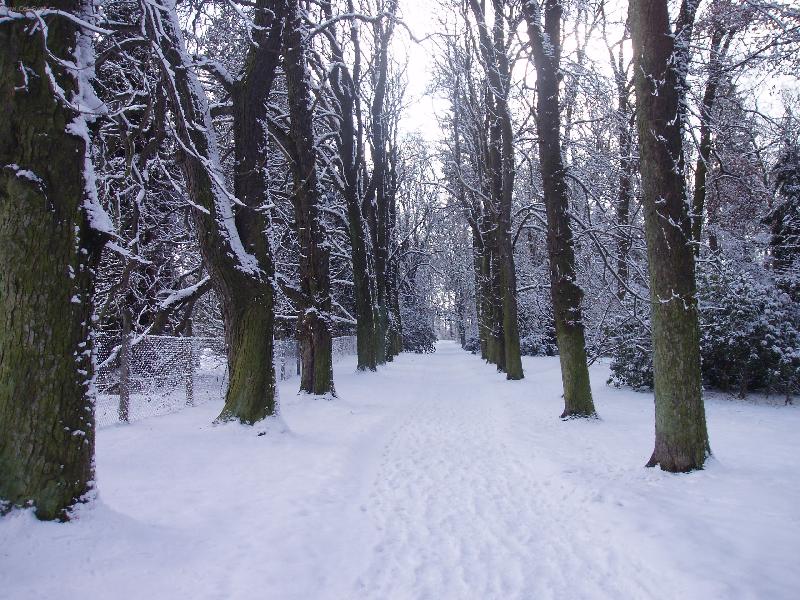 Foto: Průhonický park v zimě