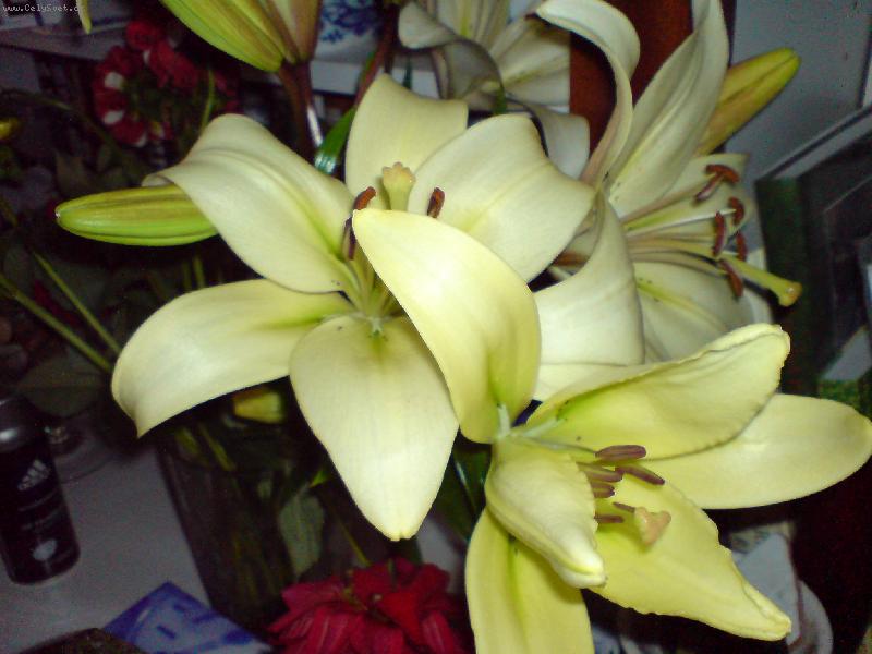 Foto: Dnes u�ezan�-Z�ti��