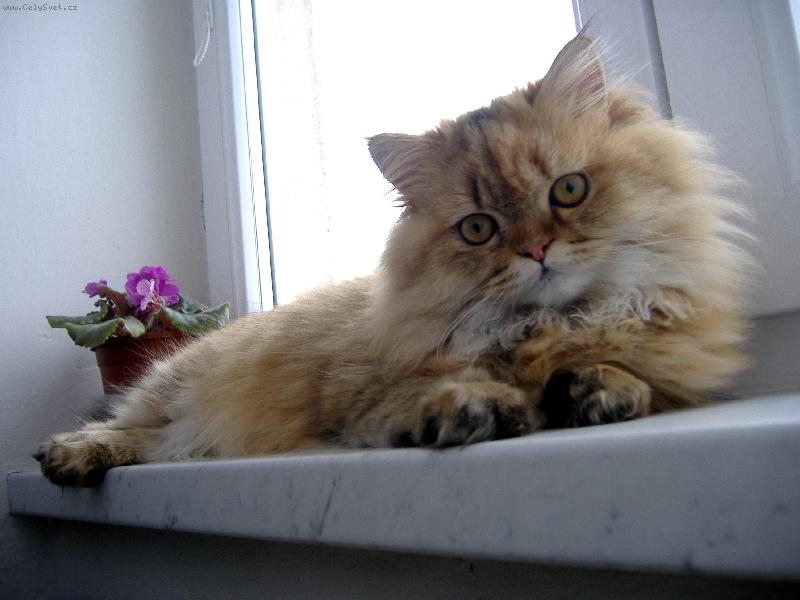 Foto: M� m�sto-Odpo�inek