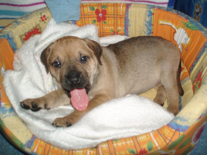 Foto: moje post�lka