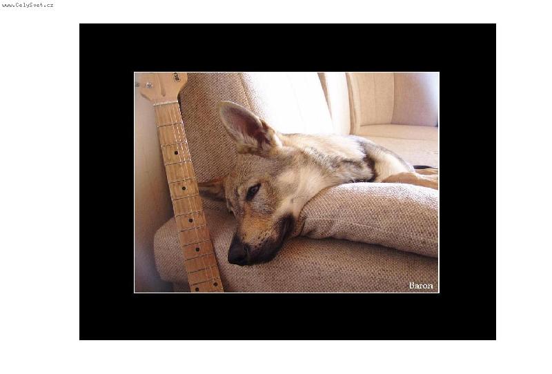 Foto: Baron z Hvozdeck� kotliny-i love rock