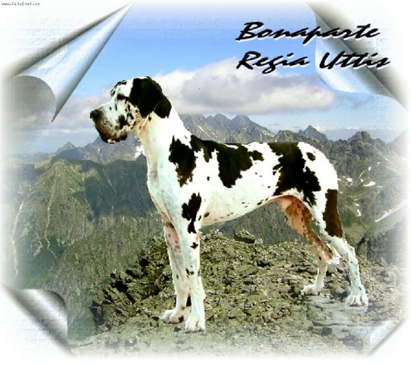 Foto: B�d��ek-Pan PES