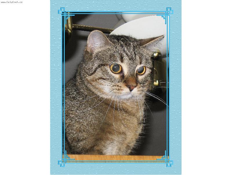 Foto: Z rodinn�ho alba-o�ima t� sleduji...