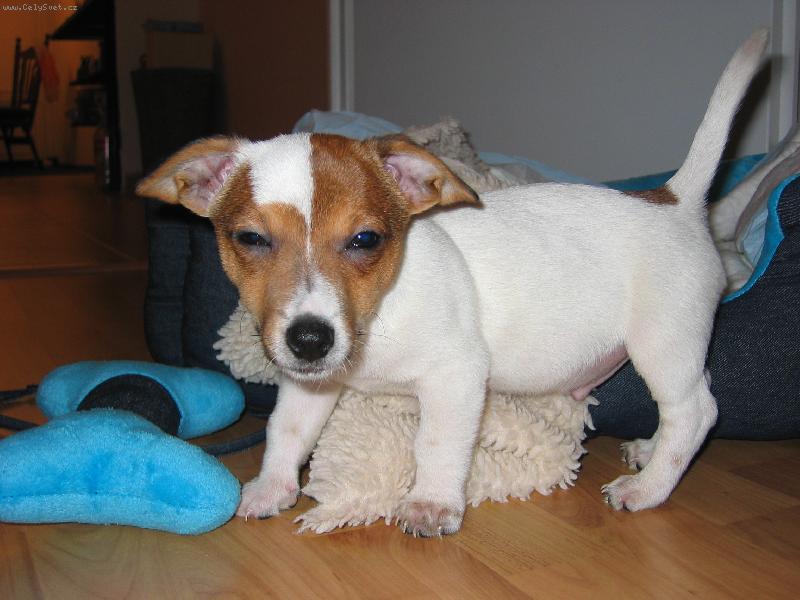 Foto: dej si na m� bacha k�mo!