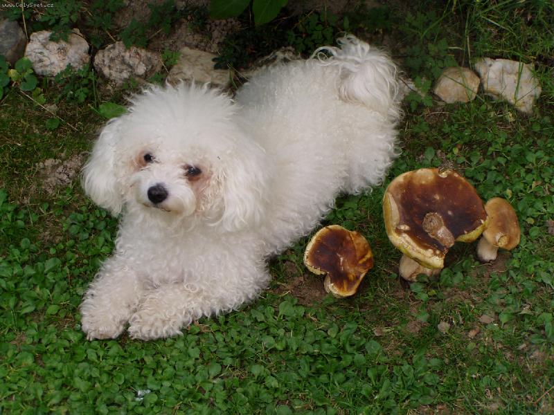 Foto: Tohle jsem na�la