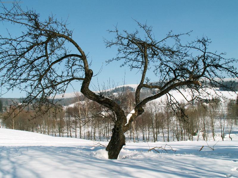 Foto: Sta�enka-Orlick� hory - b�ezen 2006