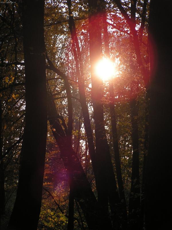 Foto: slunce v Mikulčicích-západ slunce nad Velkou Moravou